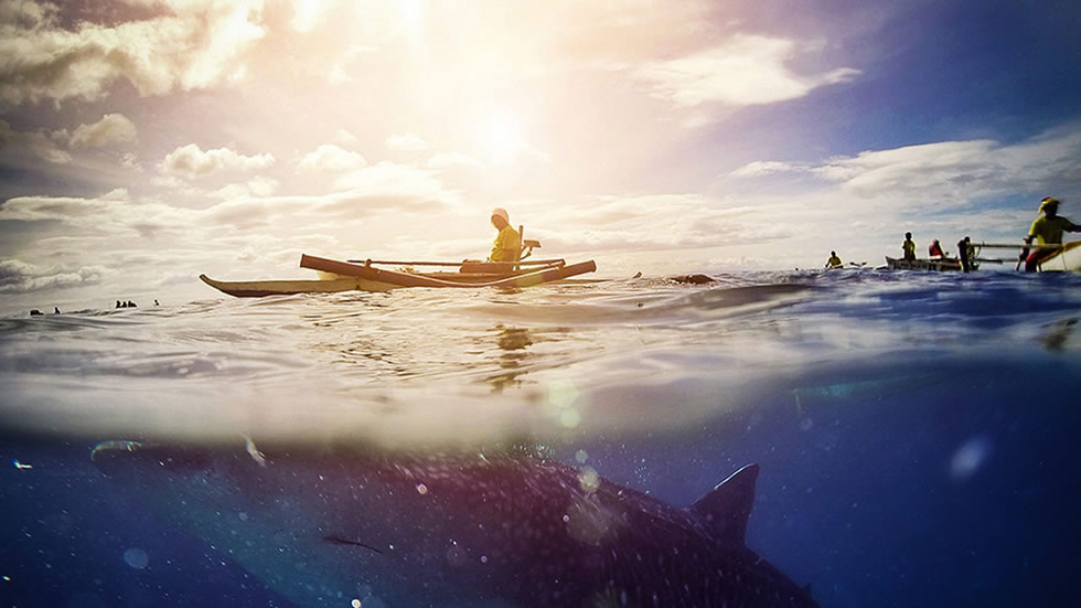 underwater shooting